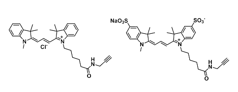 Cyanine alkyne